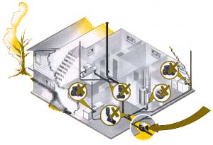 positioning and placement of a sewer line backflow preventer valves